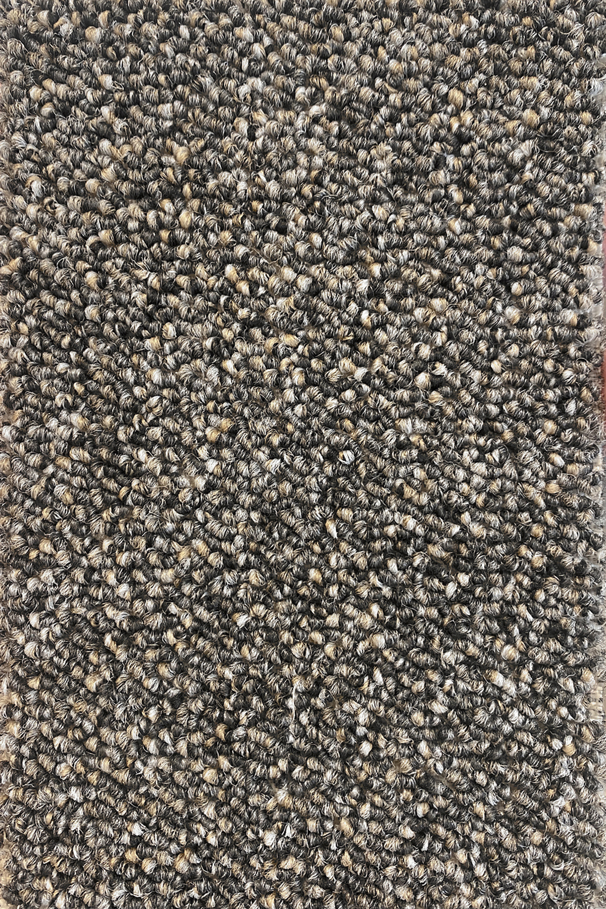 Ковровое покрытие "Bonkeel" Nero 97 (ширина 4м) — купить в Братске