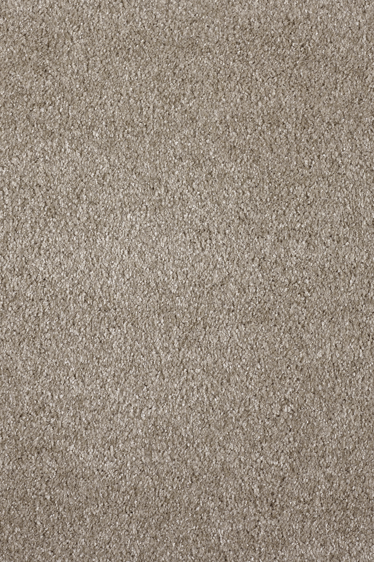 Ковровое покрытие "Bonkeel" Parana 34 (ширина 4м/5м) — купить в Братске