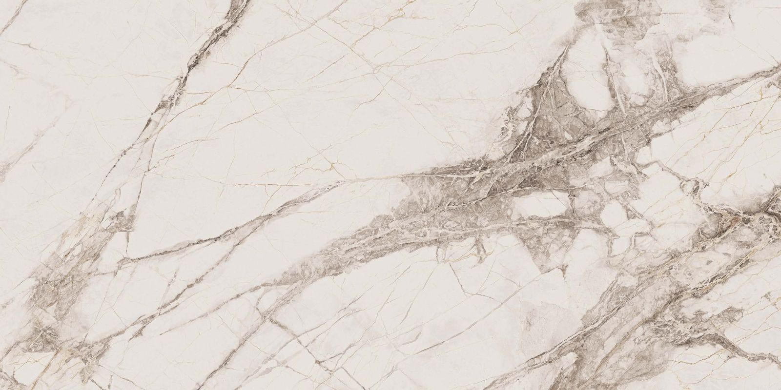 Керамогранит Exotica Marble Moon Tango 600x1200 неполированный белый EXM101 — купить в Братске